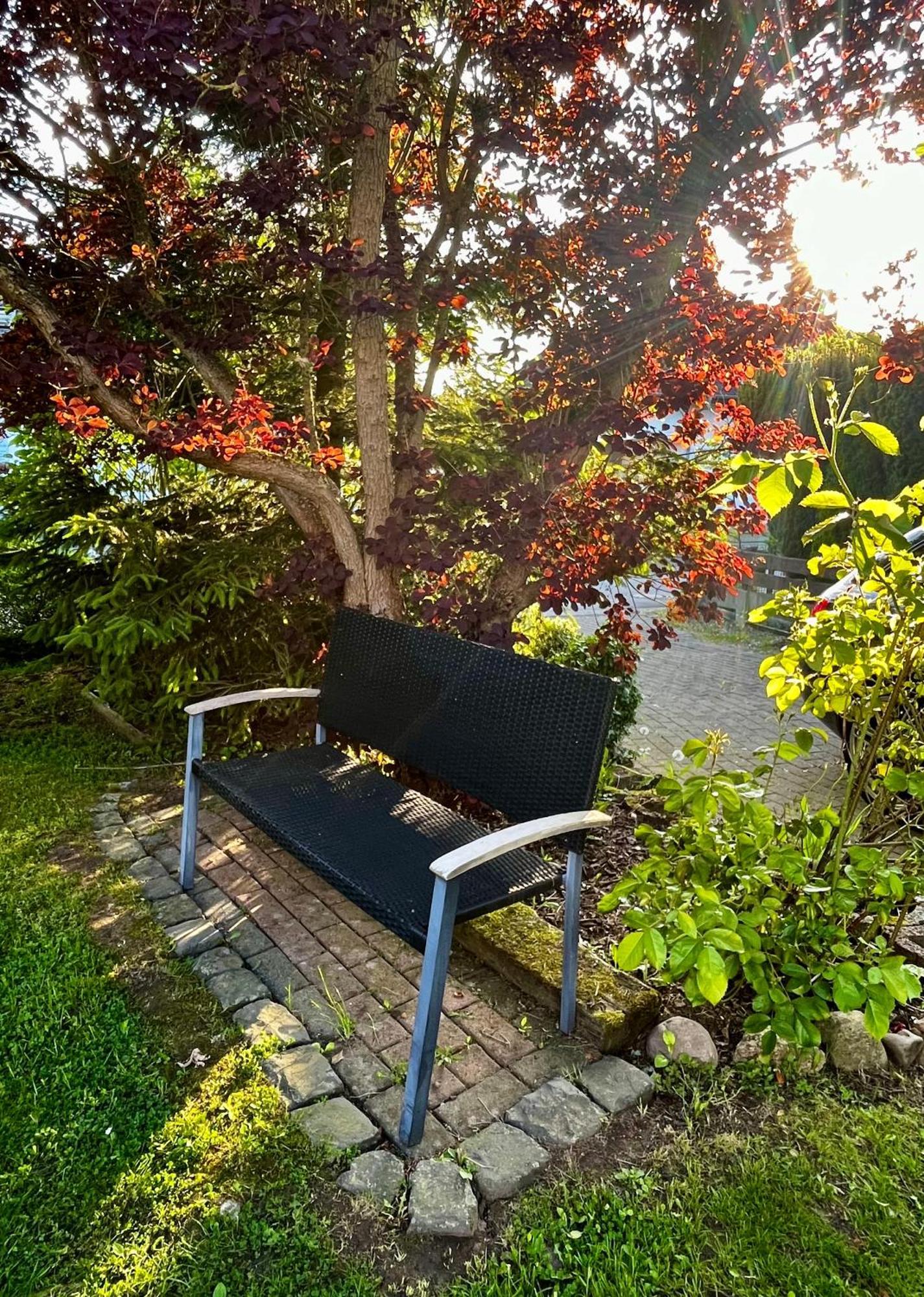 Ferienhaus Windmuehlenweg Mit Grossem Sonnigen Garten -Neu- Spenge Exteriör bild